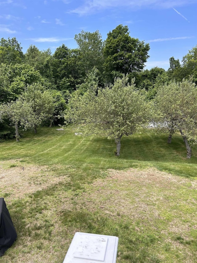 81 Cider St, Epping, NH 03042 - view of grassy yard