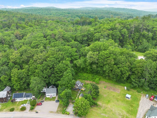 236 N Main St, Franklin, NH 03235 - view of property location featuring a forest