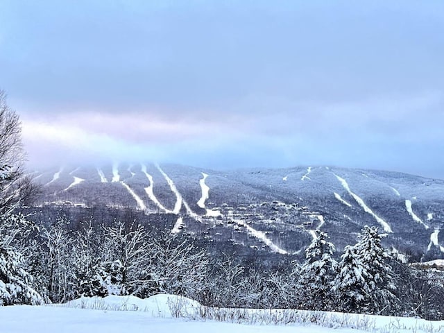 36 Lower Iv Unit 48A, Ludlow, VT 05149 - view of mountain background