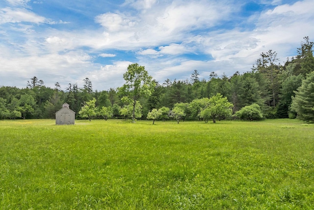 203 Orris Rd, Thornton, NH 03285 - view of grassy yard featuring an outdoor structure, a barn, and a forest view