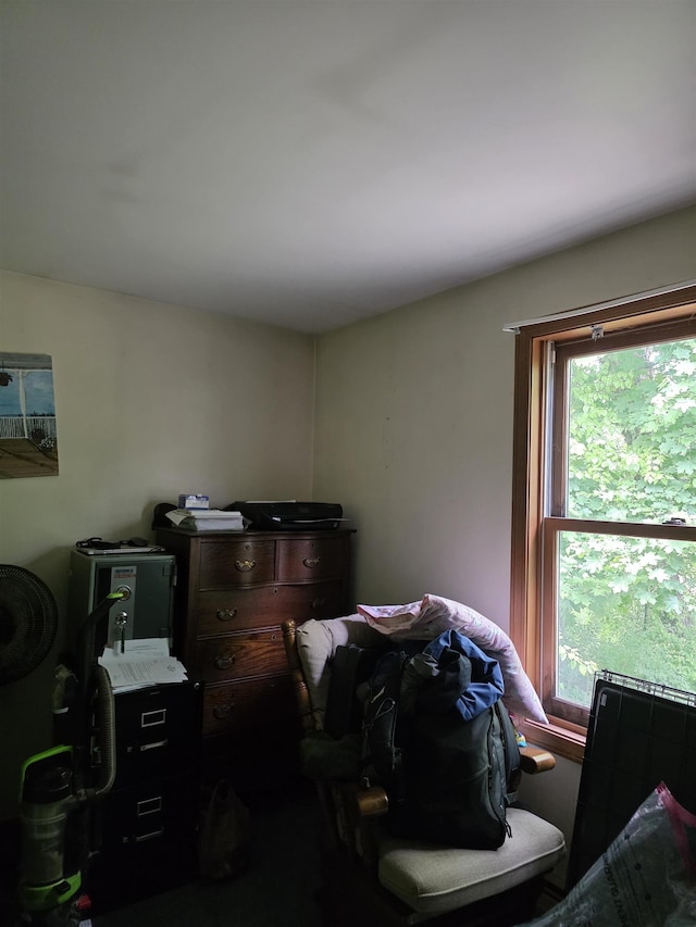 142 Sugar Plum Ct, Randolph, VT 05060 - view of bedroom