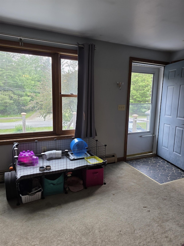 142 Sugar Plum Ct, Randolph, VT 05060 - living area featuring carpet flooring