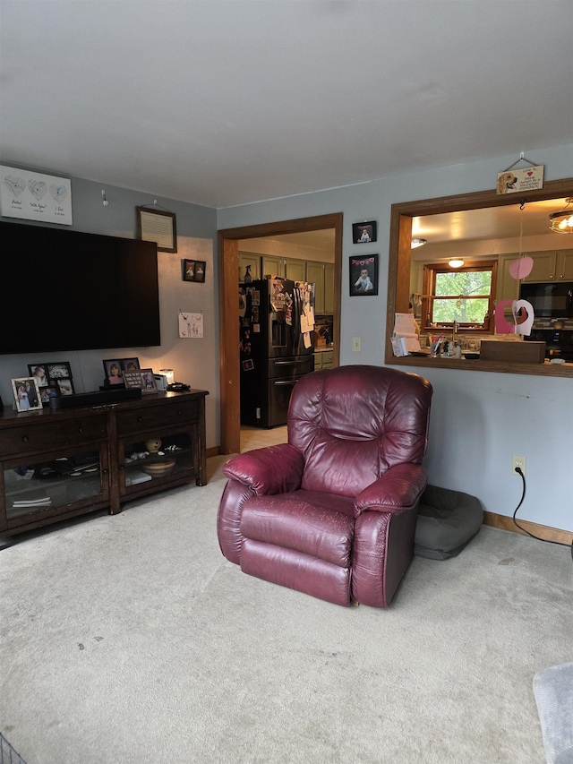 142 Sugar Plum Ct, Randolph, VT 05060 - view of carpeted living room
