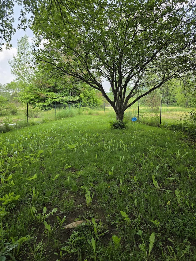 142 Sugar Plum Ct, Randolph, VT 05060 - view of yard
