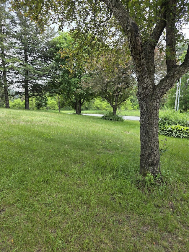 142 Sugar Plum Ct, Randolph, VT 05060 - view of yard