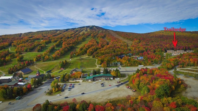 3B Freestyle Cir, Dover, VT 05356 - view of mountain backdrop with a heavily wooded area