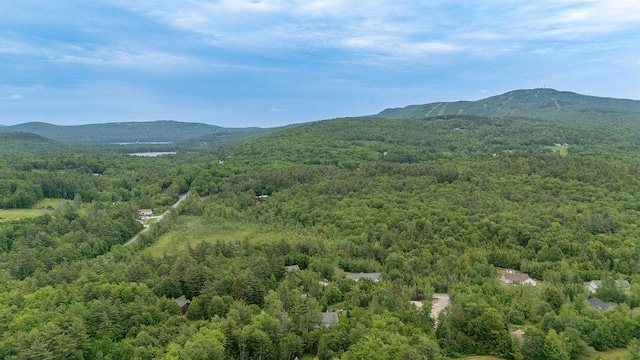 52 Jeffrey Dr, Sunapee, NH 03782 - mountain view featuring a forest