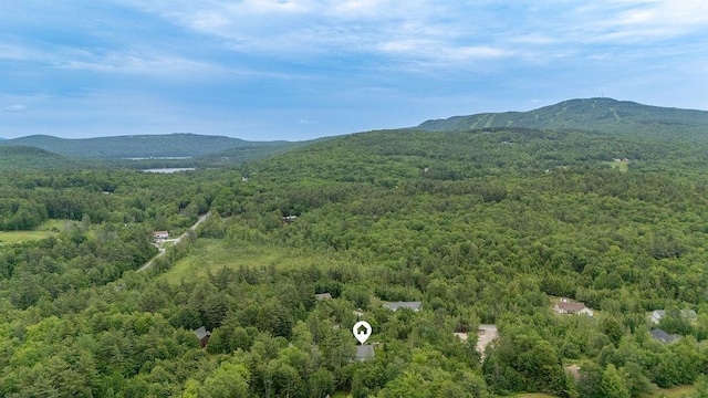 52 Jeffrey Dr, Sunapee, NH 03782 - bird's eye view of mountains