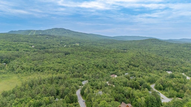52 Jeffrey Dr, Sunapee, NH 03782 - mountain view featuring a heavily wooded area