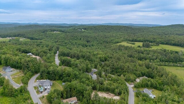 52 Jeffrey Dr, Sunapee, NH 03782 - aerial view of a forest