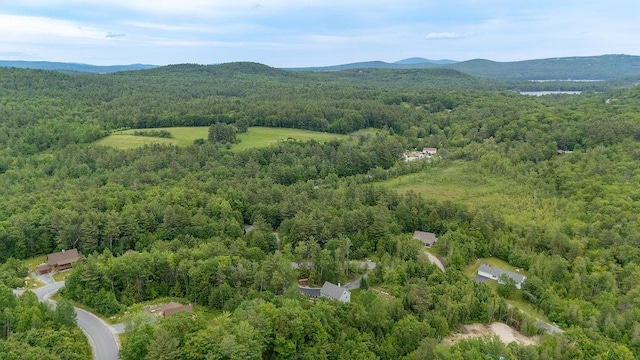 52 Jeffrey Dr, Sunapee, NH 03782 - bird's eye view of a forest and a mountainous background