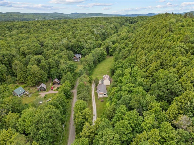 89 Catella Rd, Essex, VT 05452 - aerial view of a forest