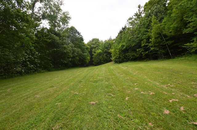89 Catella Rd, Essex, VT 05452 - view of green lawn with a view of trees