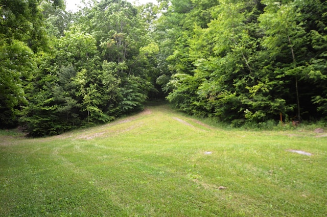 89 Catella Rd, Essex, VT 05452 - view of yard featuring a forest view