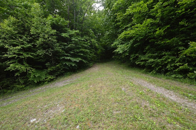 89 Catella Rd, Essex, VT 05452 - view of yard