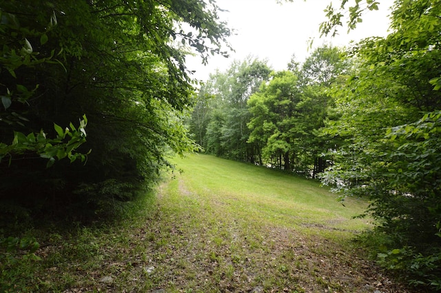 89 Catella Rd, Essex, VT 05452 - view of green lawn with a wooded view