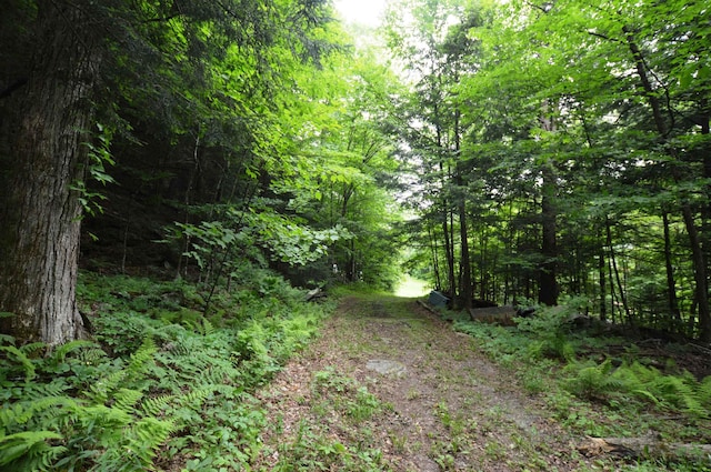 89 Catella Rd, Essex, VT 05452 - view of yard featuring a forest view