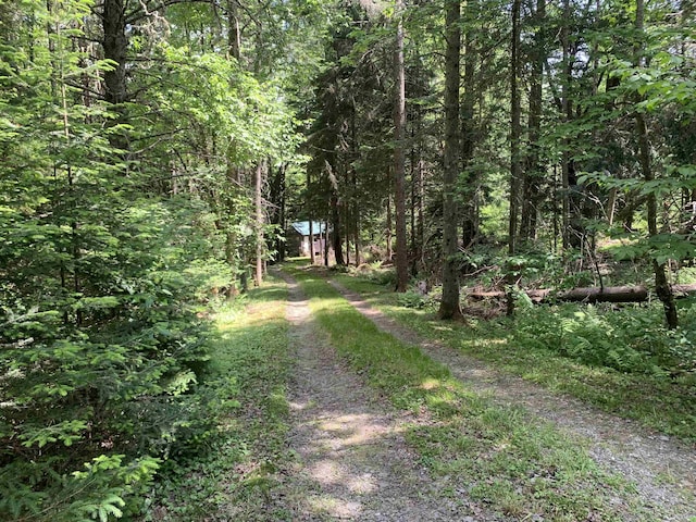 505 River Rd, Pittsburg, NH 03592 - view of street with a forest view
