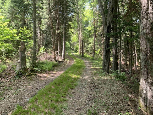 505 River Rd, Pittsburg, NH 03592 - view of road featuring a wooded view