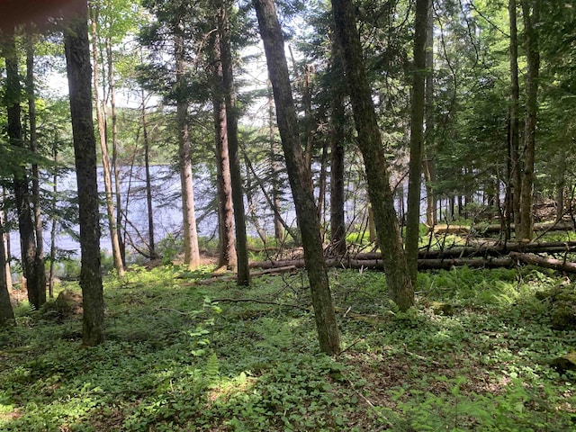505 River Rd, Pittsburg, NH 03592 - water view