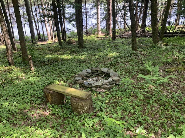 505 River Rd, Pittsburg, NH 03592 - view of yard