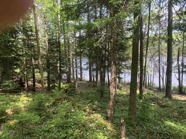 505 River Rd, Pittsburg, NH 03592 - view of undeveloped land