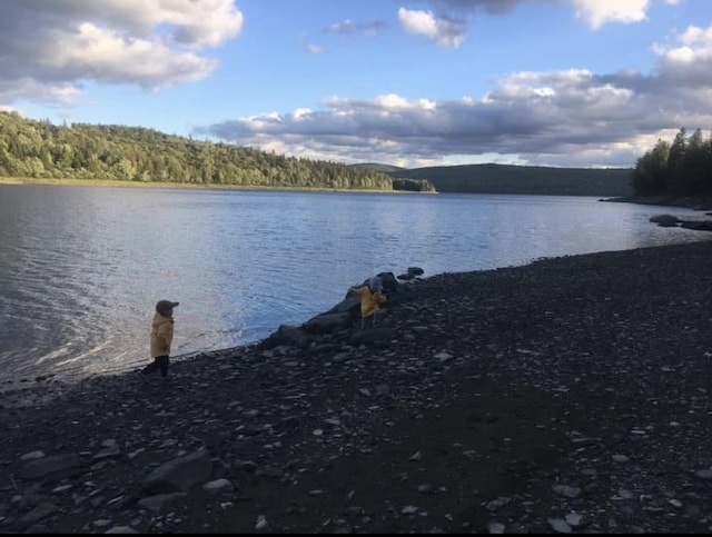 505 River Rd, Pittsburg, NH 03592 - water view with a heavily wooded area