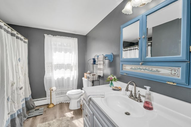 73 Tall Pine Rd, Farmington, NH 03835 - full bath with vanity, wood finished floors, and a shower with shower curtain