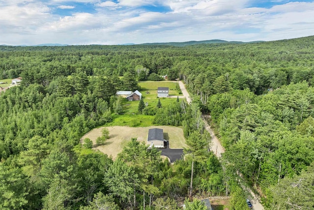 106 Stevens Rd Unit 1, Effingham, NH 03882 - bird's eye view of a forest