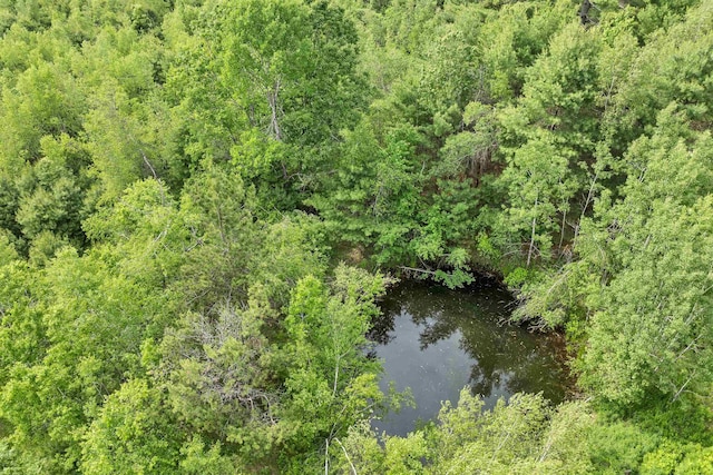 106 Stevens Rd Unit 1, Effingham, NH 03882 - bird's eye view of a nearby body of water