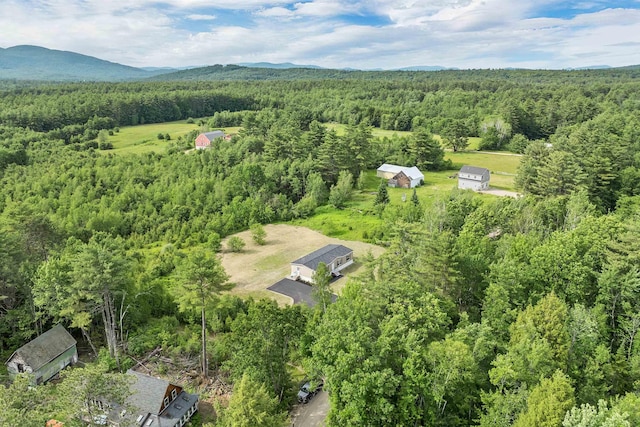 106 Stevens Rd Unit 1, Effingham, NH 03882 - bird's eye view of a forest