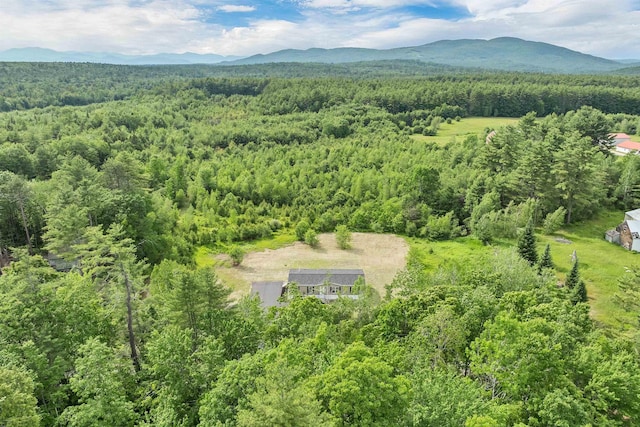106 Stevens Rd Unit 1, Effingham, NH 03882 - aerial view of a heavily wooded area and a mountainous background