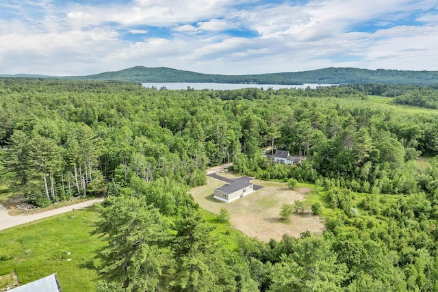 106 Stevens Rd Unit 1, Effingham, NH 03882 - drone / aerial view of a heavily wooded area and a water and mountain view