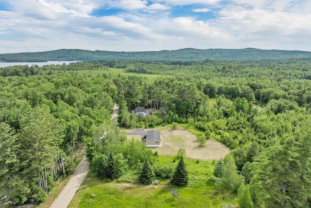 106 Stevens Rd Unit 1, Effingham, NH 03882 - view from above of property with a heavily wooded area and a large body of water