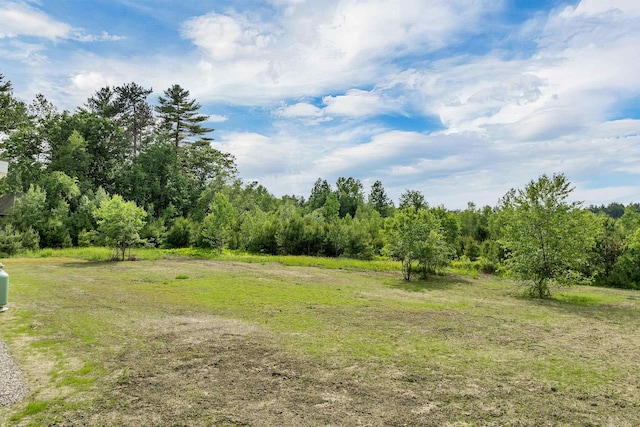106 Stevens Rd Unit 1, Effingham, NH 03882 - view of yard