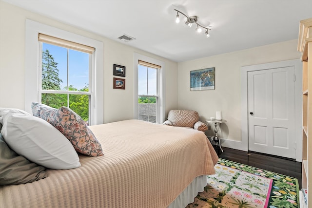 261 Main Ave, South Hampton, NH 03827 - bedroom with multiple windows, wood finished floors, and track lighting