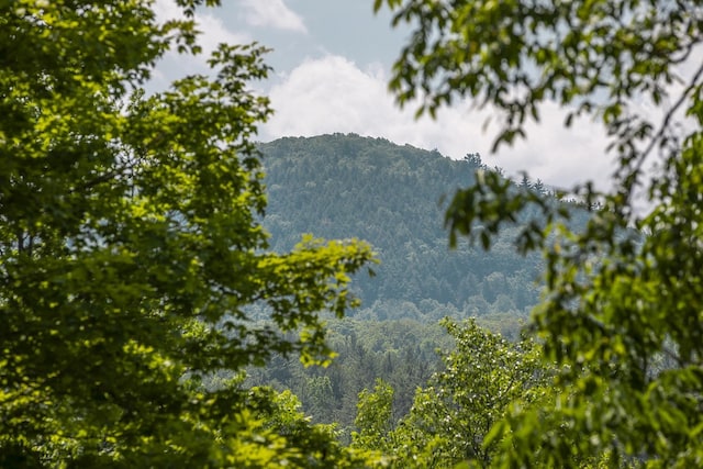 3440 Rte 44, West Windsor, VT 05037 - mountain view with a heavily wooded area