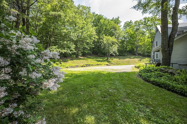 3440 Rte 44, West Windsor, VT 05037 - view of green lawn