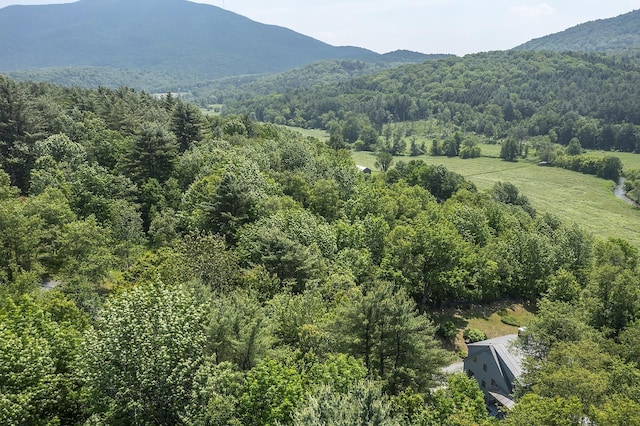 3440 Rte 44, West Windsor, VT 05037 - mountain view with a forest
