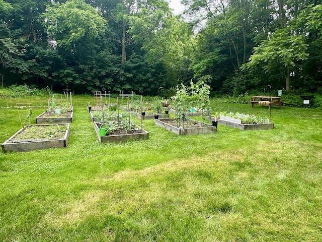 87 Cricketbrook Rd Unit 87, Dover, NH 03820 - view of grassy yard with a vegetable garden and a forest view
