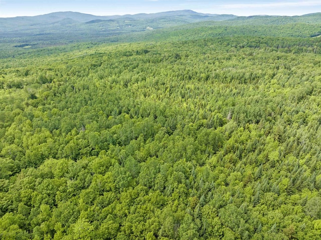 0 Tug Mountain Rd, Lunenburg, VT 05906