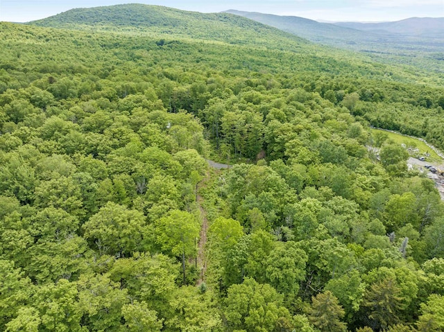 0 Tug Mountain Rd, Lunenburg, VT 05906