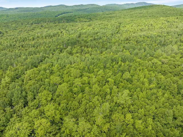 0 Tug Mountain Rd, Lunenburg, VT 05906