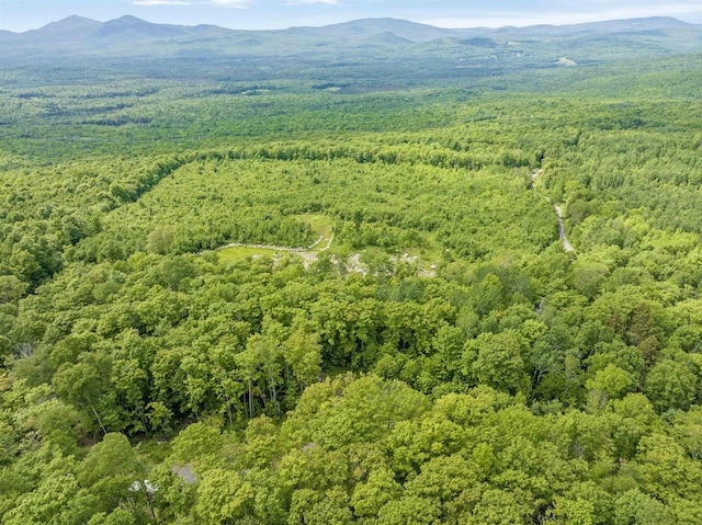 0 Tug Mountain Rd, Lunenburg, VT 05906
