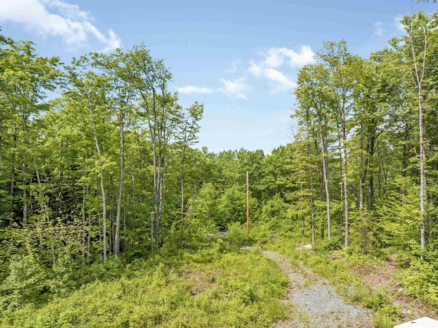 0 Tug Mountain Rd, Lunenburg, VT 05906