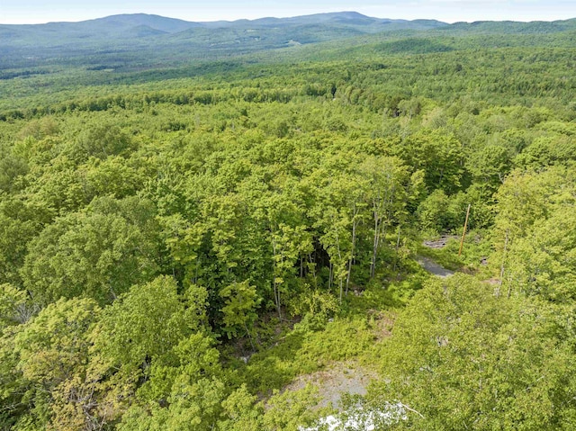 0 Tug Mountain Rd, Lunenburg, VT 05906