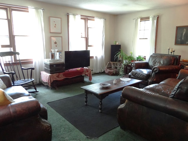 2505 County Rd, Windsor, VT 05089 - view of carpeted living area