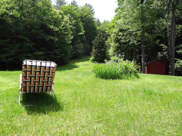 2505 County Rd, Windsor, VT 05089 - view of yard featuring a storage unit