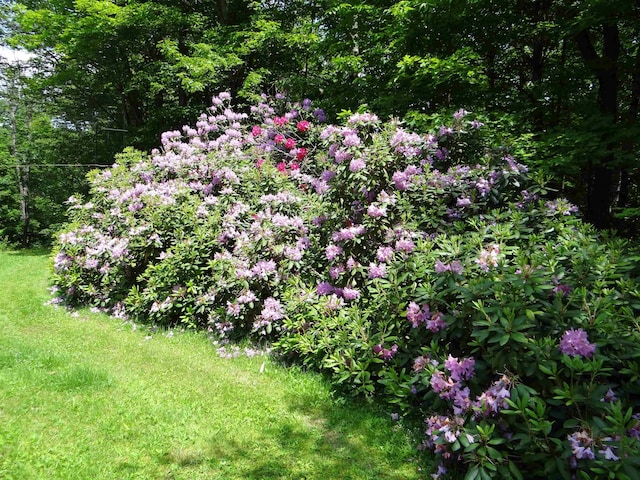 2505 County Rd, Windsor, VT 05089 - view of yard