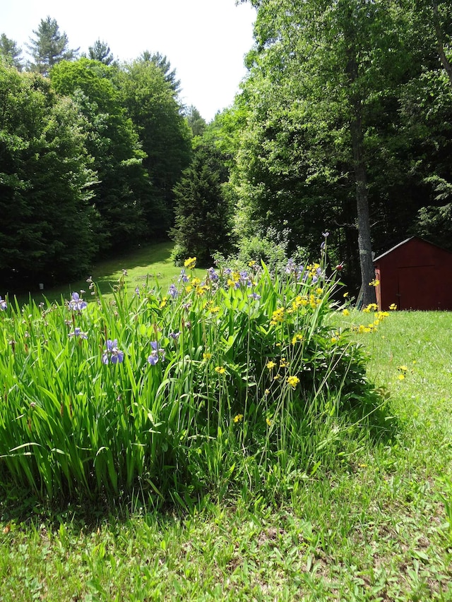 2505 County Rd, Windsor, VT 05089 - view of yard